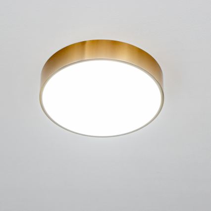 Brilagi - LED badrumsarmatur POOL LED/24W/230V 3000/4000/5500K Ø 30 cm IP54 brons