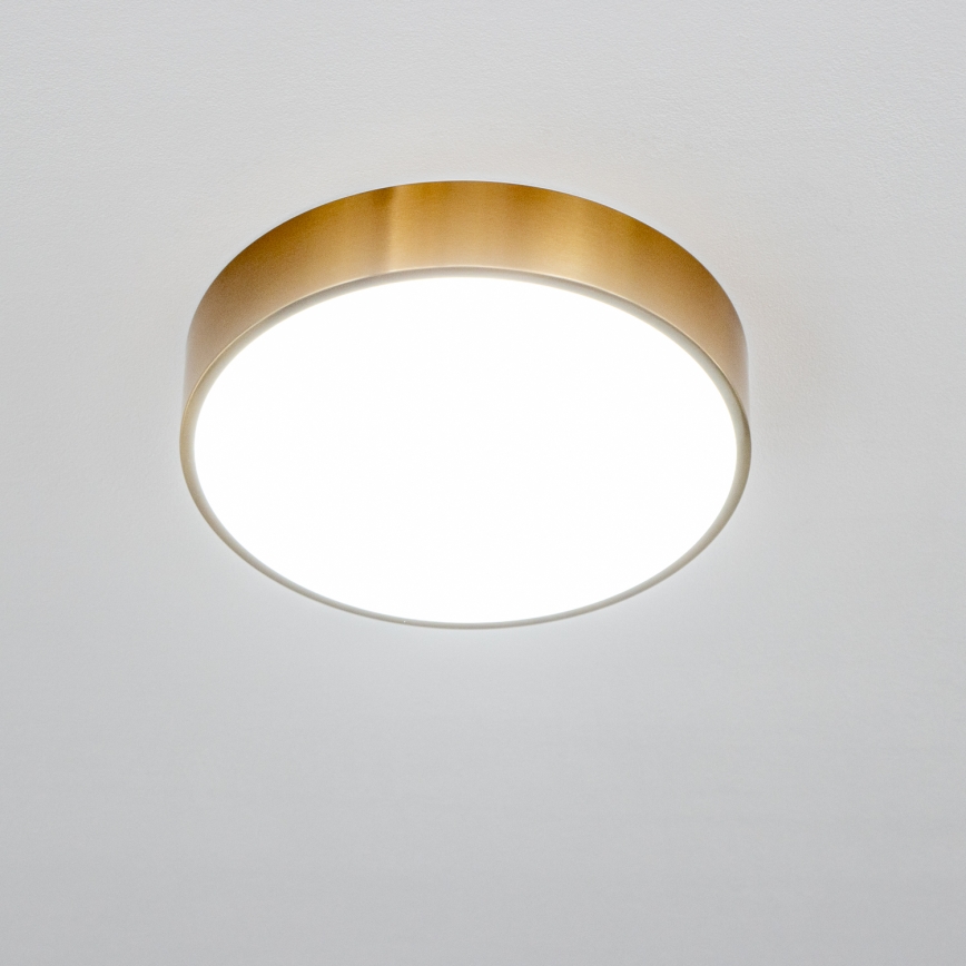 Brilagi - LED badrumsarmatur POOL LED/24W/230V 3000/4000/5500K Ø 30 cm IP54 brons