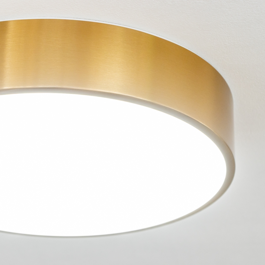 Brilagi - LED badrumsarmatur POOL LED/24W/230V 3000/4000/5500K Ø 30 cm IP54 brons