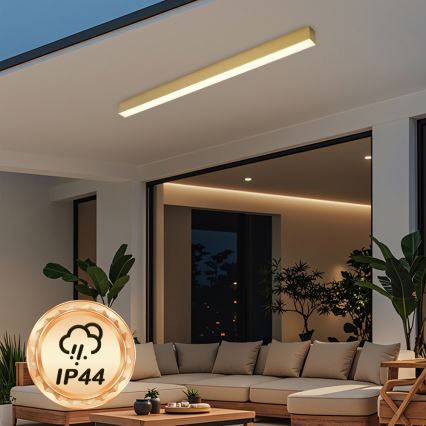 Brilagi - LED takarmatur för badrum SLEEKLINE LED/40W/230V 3000/4500/6000K guldfinish IP44