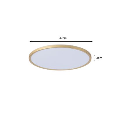 Brilagi - LED Badrumstaklampa ULTRA SLIM LED/24W/230V Ø 42 cm guldfärgad IP54