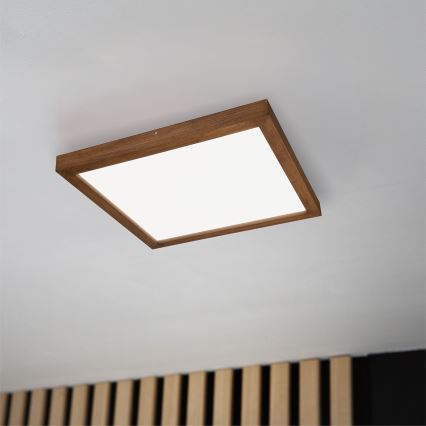 Brilagi - LED-takarmatur för badrum WOODY FRAME LED/40W/230V 60x60 cm IP44 i ek/körsbär