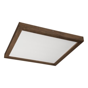 Brilagi - LED badrumsarmatur WOODY FRAME LED/50W/230V 60x60 cm IP44 ek/valnöt