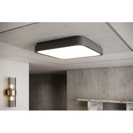 BRILAGI - LED badrumsarmatur ZENNA LED/24W/230V 34,5x34,5 cm IP44 antracit