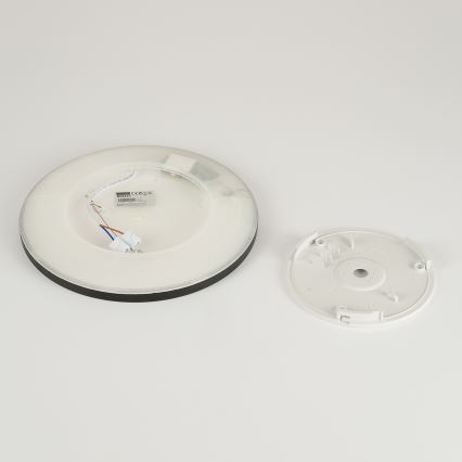 Brilagi - LED taklampa för badrum ULTRA SLIM LED/12W/230V diameter 22,5 cm svart IP54