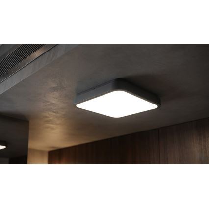 BRILAGI - LED badrumsarmatur med sensor ZENNA LED/24W/230V 34,5x34,5 cm IP44 antracit + fjärrkontroll
