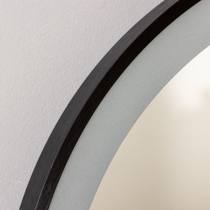 Brilagi - LED-badrumsspegel CANZO LED/25W/230V 50x80 cm svart IP44 CRI 90 dimmbar + CCT
