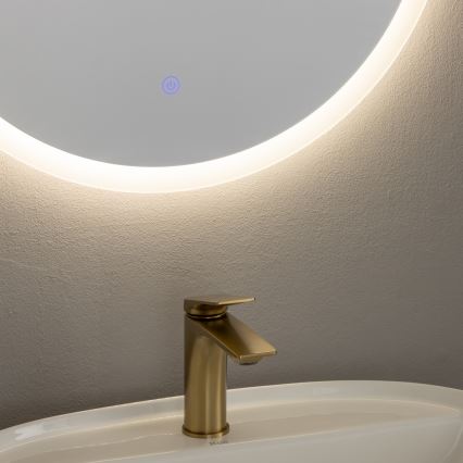 Brilagi - LED-badrumsspegel CUNEO LED/19W/230V Ø 60 cm IP44 CRI 90 dimbar + CCT