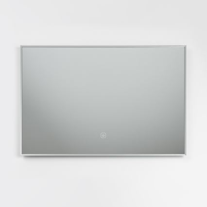 Brilagi - LED-badrumsspegel DESIO LED/20W/230V 40x60 cm silverfärgad IP44 CRI 90 dimbar + CCT