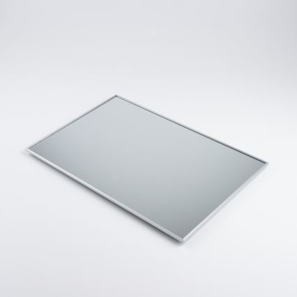 Brilagi - LED-badrumsspegel DESIO LED/20W/230V 40x60 cm silverfärgad IP44 CRI 90 dimbar + CCT