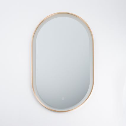 Brilagi - ERBA LED-badrumsspegel LED/25W/230V 50x80 cm guldfinish IP44 CRI 90 dimbar + CCT