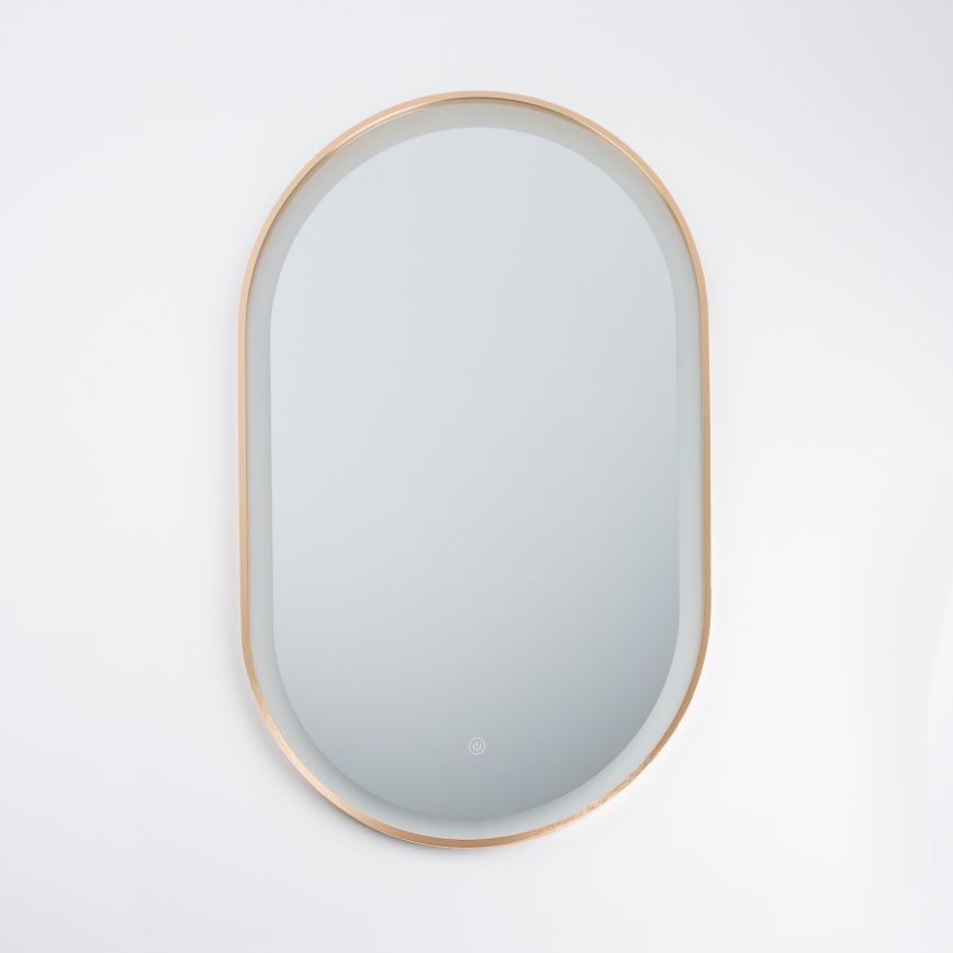 Brilagi - ERBA LED-badrumsspegel LED/25W/230V 50x80 cm guldfinish IP44 CRI 90 dimbar + CCT