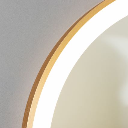 Brilagi - ERBA LED-badrumsspegel LED/25W/230V 50x80 cm guldfinish IP44 CRI 90 dimbar + CCT