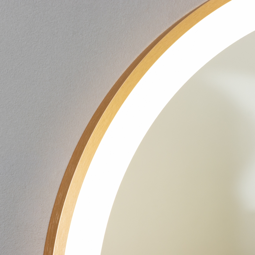 Brilagi - ERBA LED-badrumsspegel LED/25W/230V 50x80 cm guldfinish IP44 CRI 90 dimbar + CCT