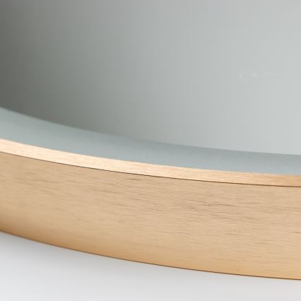 Brilagi - ERBA LED-badrumsspegel LED/25W/230V 50x80 cm guldfinish IP44 CRI 90 dimbar + CCT