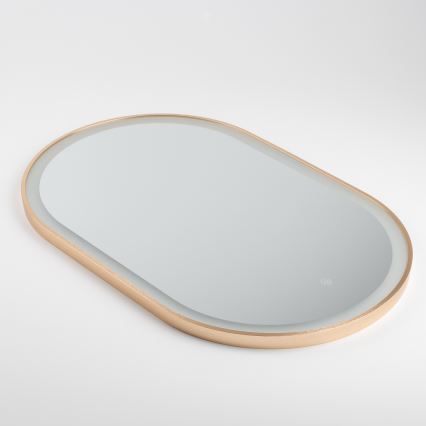 Brilagi - ERBA LED-badrumsspegel LED/25W/230V 50x80 cm guldfinish IP44 CRI 90 dimbar + CCT