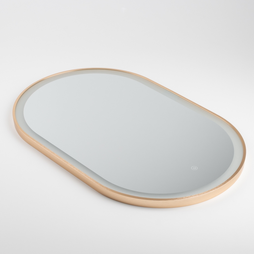 Brilagi - ERBA LED-badrumsspegel LED/25W/230V 50x80 cm guldfinish IP44 CRI 90 dimbar + CCT