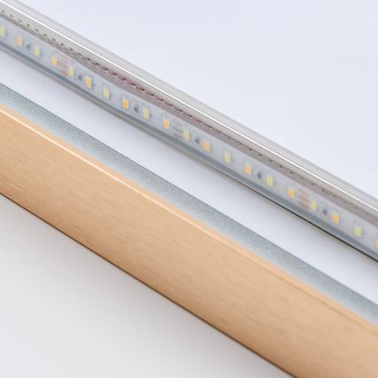 Brilagi - ERBA LED-badrumsspegel LED/25W/230V 50x80 cm guldfinish IP44 CRI 90 dimbar + CCT