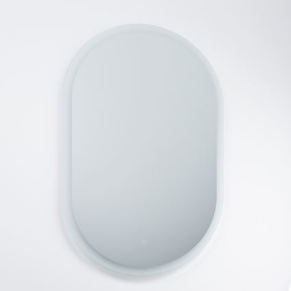 Brilagi - LED-badrumsspegel LECCO LED/25W/230V 50x80 cm IP44 CRI 90 med dimmer + CCT