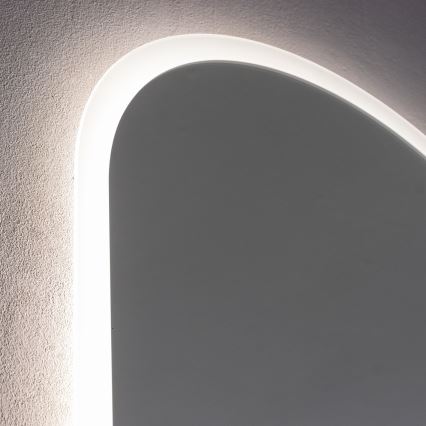 Brilagi - LED-badrumsspegel LECCO LED/25W/230V 50x80 cm IP44 CRI 90 med dimmer + CCT
