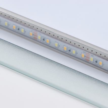 Brilagi - LED-badrumsspegel LECCO LED/25W/230V 50x80 cm IP44 CRI 90 med dimmer + CCT