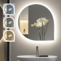 BRILAGI - LED-badrumsspegel RICADI LED/19W/230V 60x60 cm IP44 CRI 90 dimbar + CCT