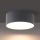 Brilagi - LED badrumstaklampa FORIS LED/20W/230V Ø 15 cm, antracit, IP44