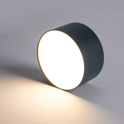 Brilagi - LED badrumstaklampa FORIS LED/20W/230V Ø 15 cm, antracit, IP44