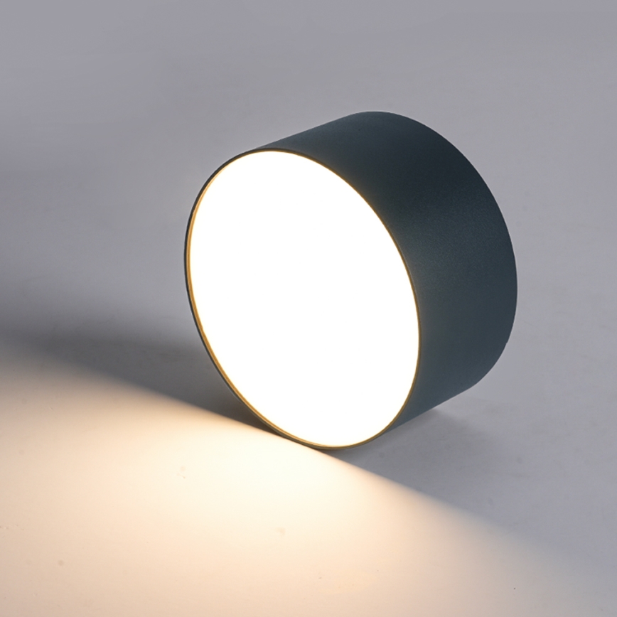 Brilagi - LED badrumstaklampa FORIS LED/20W/230V Ø 15 cm, antracit, IP44