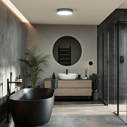 BRILAGI - LED badrumstaklampa POOL LED/24W/230V 3000/4000/5500K Ø 30 cm IP54 svart