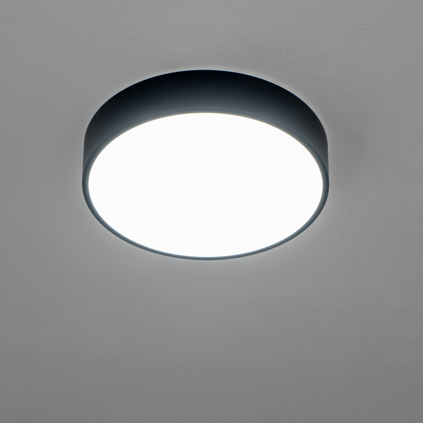 BRILAGI - LED badrumstaklampa POOL LED/24W/230V 3000/4000/5500K Ø 30 cm IP54 svart