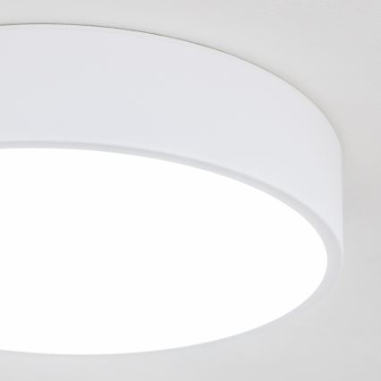BRILAGI - LED badrumstaklampa POOL LED/24W/230V 3000/4000/5500K Ø 30 cm IP54 vit