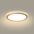 Brilagi - LED-badrumstaklampa ULTRA SLIM LED/12W/230V Ø 22,5 cm guld IP54