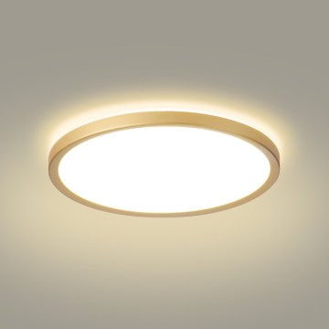 Brilagi - LED Badrumstaklampa ULTRA SLIM LED/24W/230V Ø 42 cm guldfärgad IP54