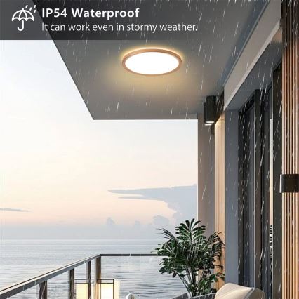 Brilagi - ULTRA SLIM LED taklampa för badrum, 24W, 230V, Ø 42 cm, roséguld, IP54