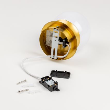 Brilagi - BALL LED-vägglampa för badrum 6W/230V 3000/4000/6500K IP44 guld