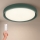 Brilagi - LED Dämpbar taklampa MATTEO LED/48W/230V 3000-6500K Ø41 cm grön + fjärrkontroll