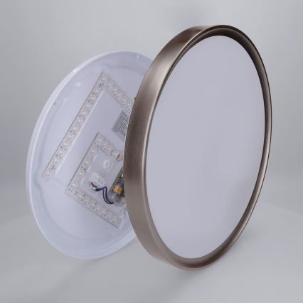 Brilagi - Dimbar LED-taklampa FANCIA LED/48W/230V 3000-6500K Ø 39 cm silverfärgad + fjärrkontroll