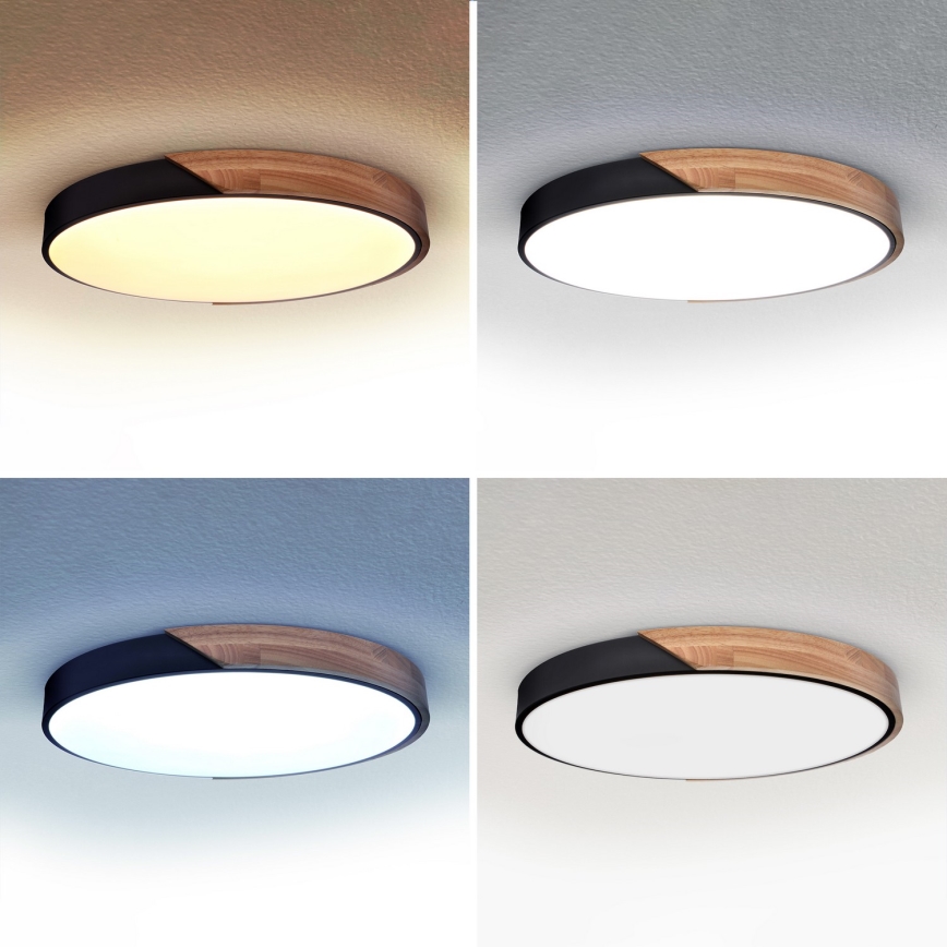 Brilagi - Dimmbar LED taklampa PILANA LED/60W/230V 3000–6500 K ek/svart Ø 58,5 cm + fjärrkontroll