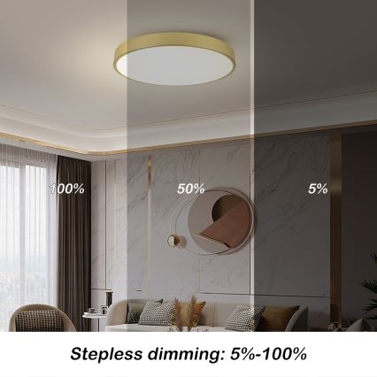 Brilagi - Dimmbar LED-takarmatur POOL SMART LED/100W/230V 3000–6000K 80 cm guld Wi-Fi Tuya + fjärrkontroll