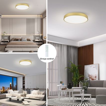 Brilagi - Dimmbar LED-takarmatur POOL SMART LED/100W/230V 3000–6000K 80 cm guld Wi-Fi Tuya + fjärrkontroll