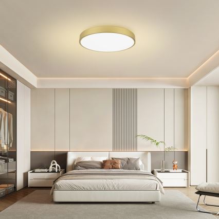 Brilagi - Dimmbar LED-takarmatur POOL SMART LED/100W/230V 3000–6000K 80 cm guld Wi-Fi Tuya + fjärrkontroll