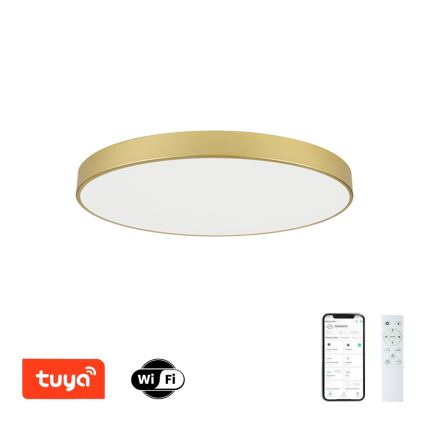 Brilagi - Dimmbar LED-takarmatur POOL SMART LED/100W/230V 3000–6000K 80 cm guld Wi-Fi Tuya + fjärrkontroll
