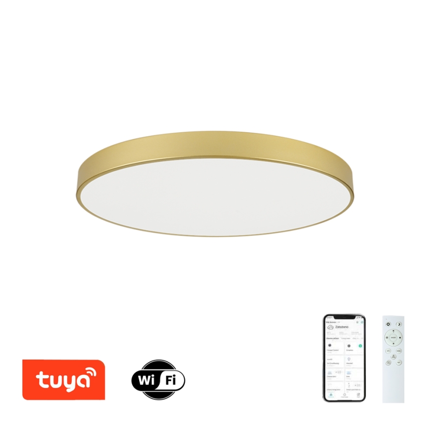 Brilagi - Dimmbar LED-takarmatur POOL SMART LED/100W/230V 3000–6000K 80 cm guld Wi-Fi Tuya + fjärrkontroll