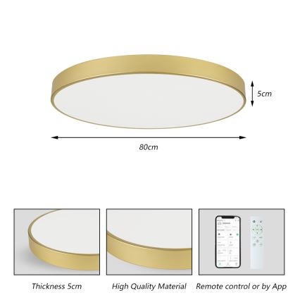 Brilagi - Dimmbar LED-takarmatur POOL SMART LED/100W/230V 3000–6000K 80 cm guld Wi-Fi Tuya + fjärrkontroll