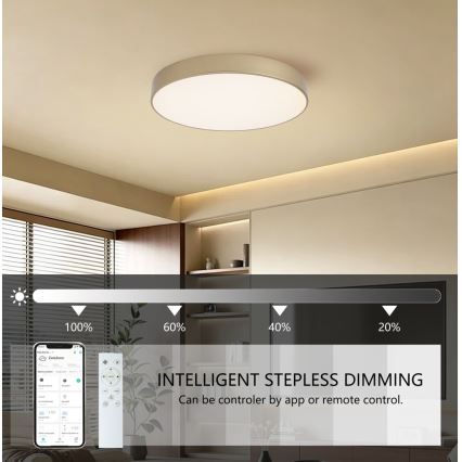 BRILAGI - Dimbart LED-takarmatur POOL SMART LED/60W/230V 3000-6000K Ø 50 cm Wi-Fi Tuya guld + fjärrkontroll
