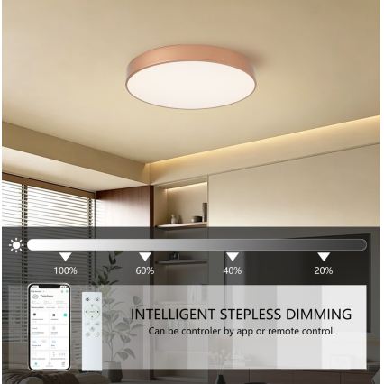 BRILAGI - LED Dimbart takarmatur POOL SMART LED/60W/230V 3000-6000K Ø 50 cm Wi-Fi Tuya kopparfärgad + fjärrkontroll