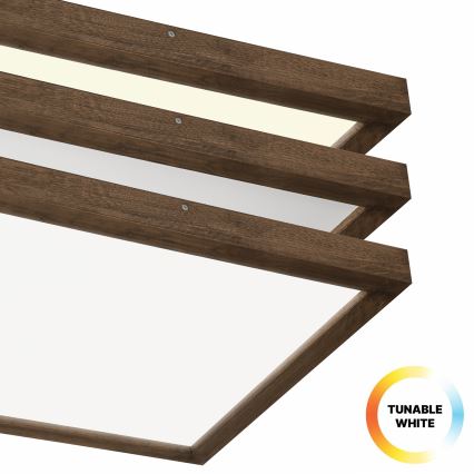 BRILAGI - LED dimbar badrumsarmatur WOODY FRAME LED/50W/230V ek valnöt 60x60 cm 3000-6000K IP44 + fjärrkontroll