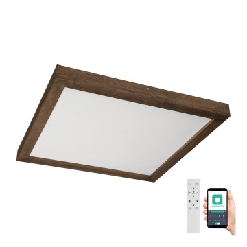 Brilagi - LED dimbar badrumsplafond WOODY FRAME LED/50W/230V ek valnöt 60x60 cm 3000-6000K IP44 + fjärrkontroll