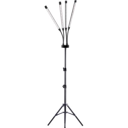 Brilagi - LED Ljusreglerad flexibel golvlampa för att odla växter VITABLOOM 4xLED/7,5W/230V svart